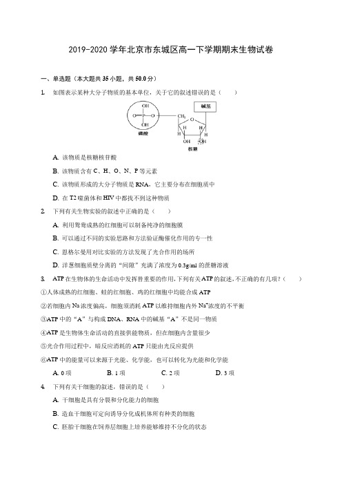 2019-2020学年北京市东城区高一下学期期末生物试卷(含答案解析)
