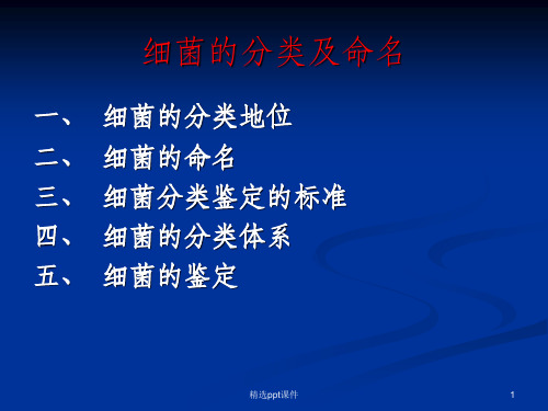细菌的分类及命名