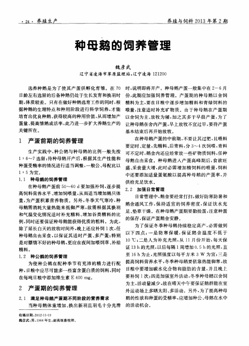 种母鹅的饲养管理