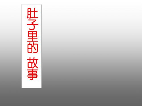 肚子里的故事ppt课件