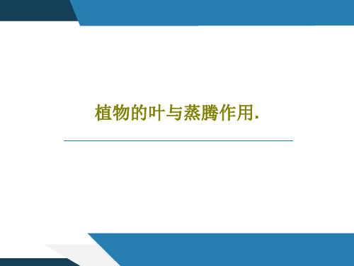 植物的叶与蒸腾作用.17页PPT