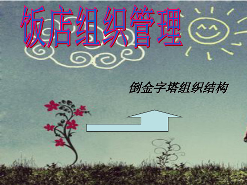 倒金字塔组织结构