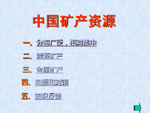 中国自然资源(矿产资源与海洋资源)
