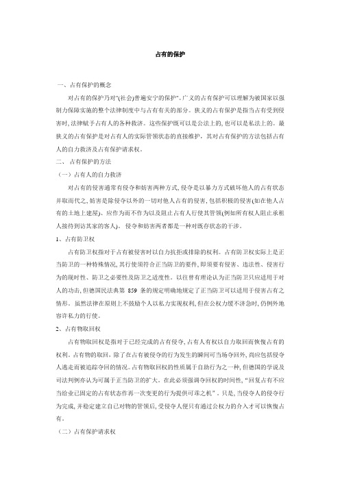 占有的保护