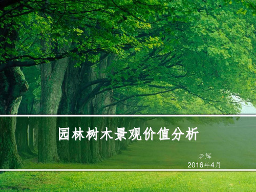 园林树木景观价值分析PPT课件