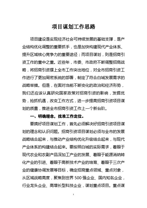 项目谋划工作思路
