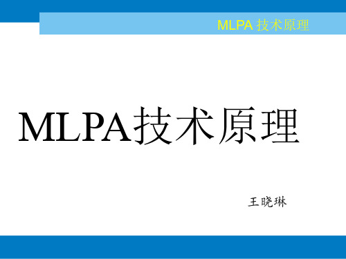 MLPA技术原理2解读