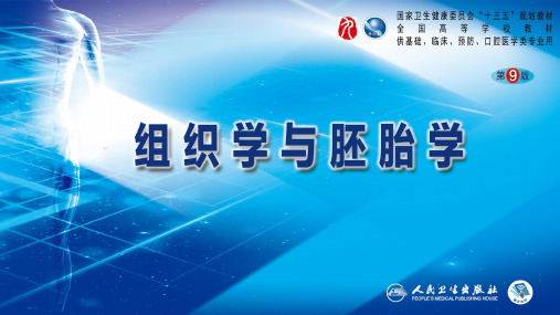 第1章 组织学绪论