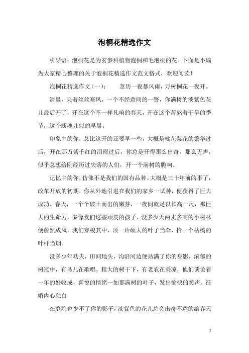泡桐花精选作文