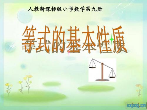 等式的基本性质_人教5年级4单元(1)
