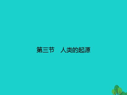 夷陵区四中八年级生物下册6.3.3人类的起源课件新版冀教版