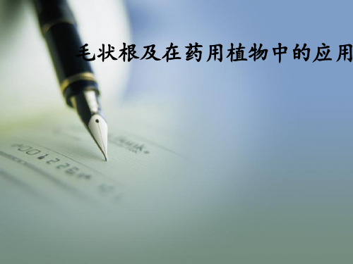 浅谈毛状根及在药用植物中的应用