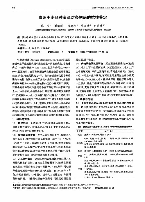 贵州小麦品种资源对条锈病的抗性鉴定