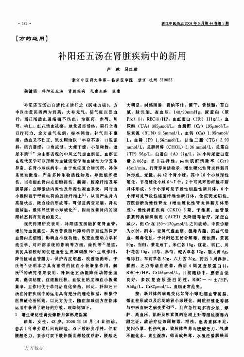 补阳还五汤在肾脏疾病中的新用