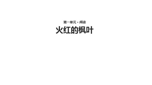 (赛课课件)二年级上册语文《火红的枫叶》(共21张PPT)