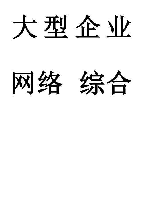 大型企业网络方案设计