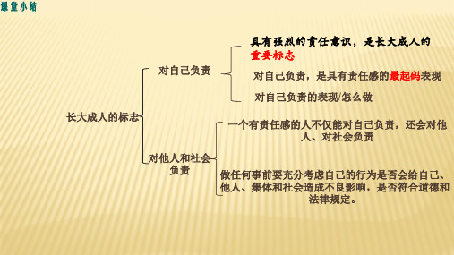 人民版思品  九年级 复习思维导图