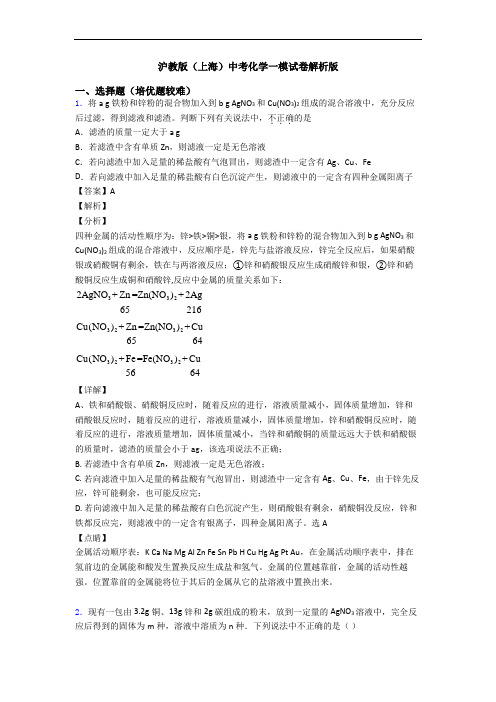 沪教版(上海)中考化学一模试卷解析版