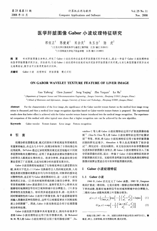 医学肝脏图像Gabor小波纹理特征研究