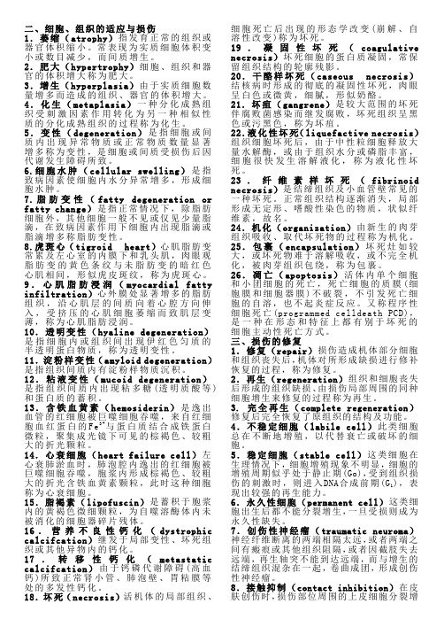 病理名解