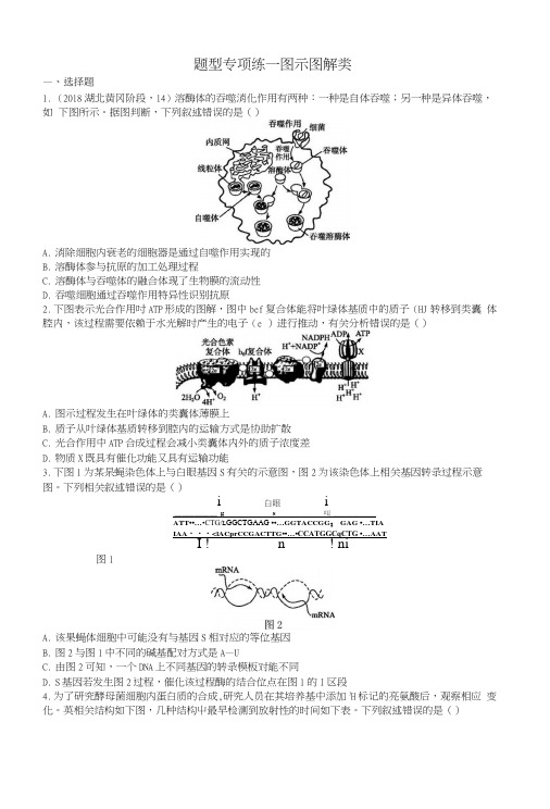 2019版高考生物大二轮复习题型增分练：题型专项练1图示图解类.docx