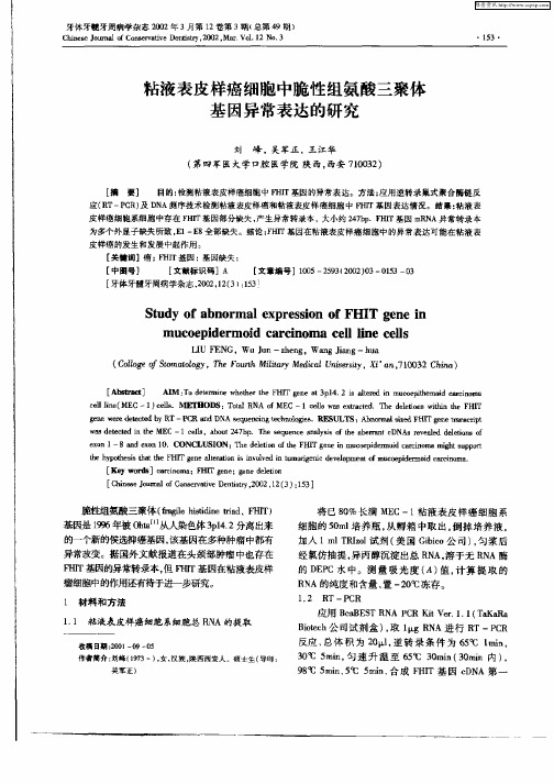 粘液表皮样癌细胞中脆性组氨酸三聚体基因异常表达的研究