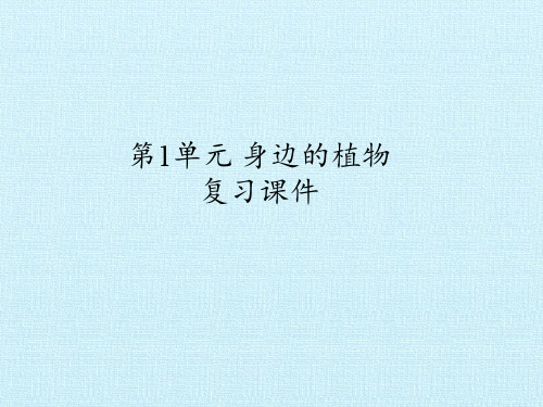 四年级下册科学课件-第1单元 身边的植物 复习课件 -粤教版(共22张PPT)