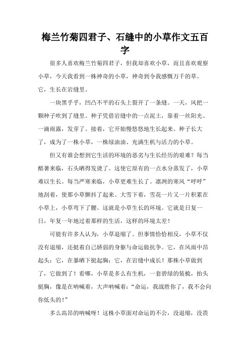 梅兰竹菊四君子、石缝中的小草作文五百字