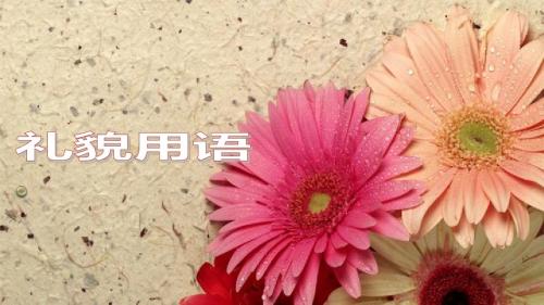 旅游酒店礼仪课之礼貌用语