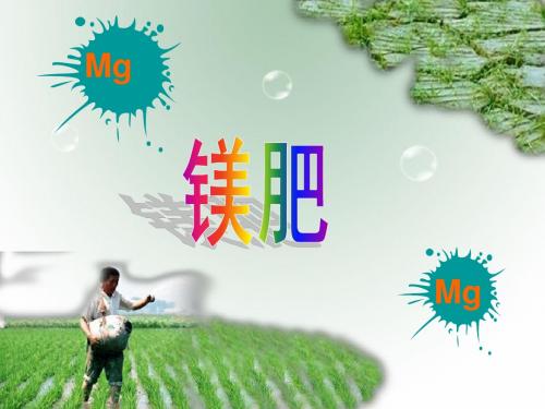 镁肥的施用