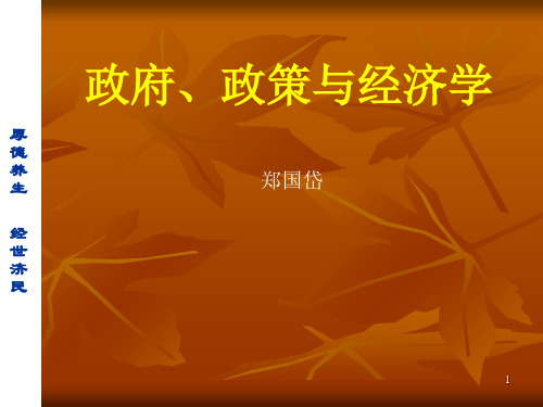 政府、政策与经济学(11)幻灯片PPT