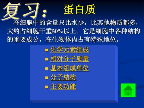人教版教学课件必修一第二章第三节核酸课件