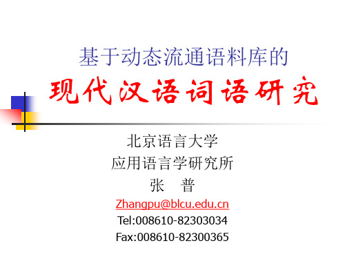 基于动态流通语料库的现代汉语词语研究