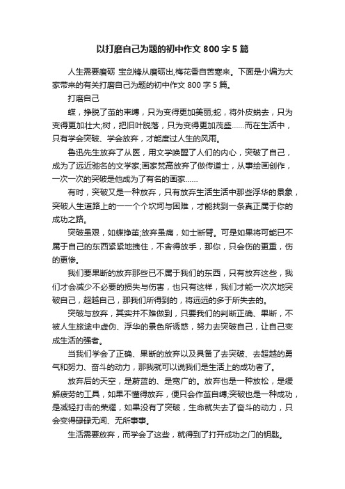 以打磨自己为题的初中作文800字5篇