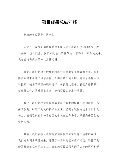 项目成果总结汇报