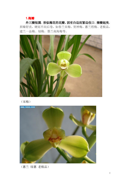 国兰瓣型经典基础理论