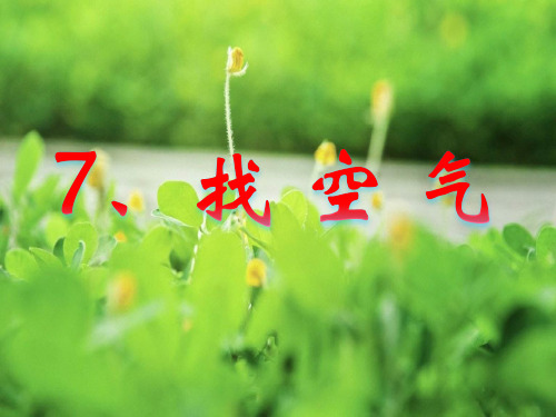 -苏教版小学科学一年级下册7 找空气 课件(18张ppt)