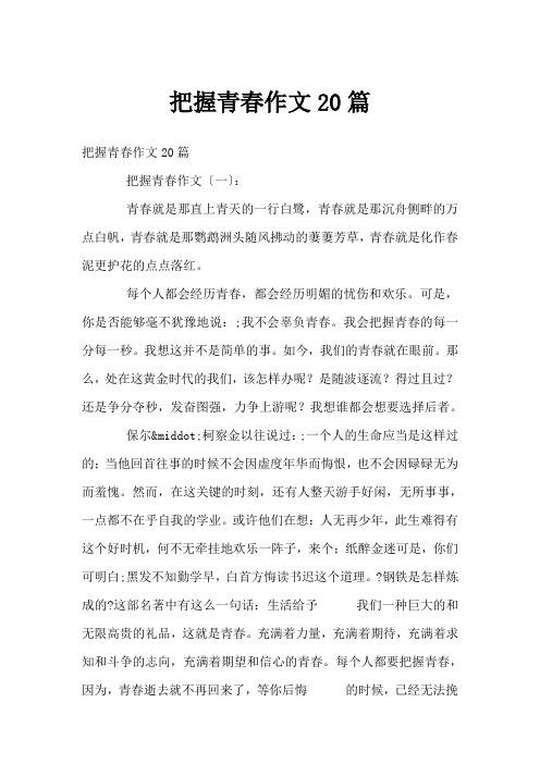 把握青春作文20篇