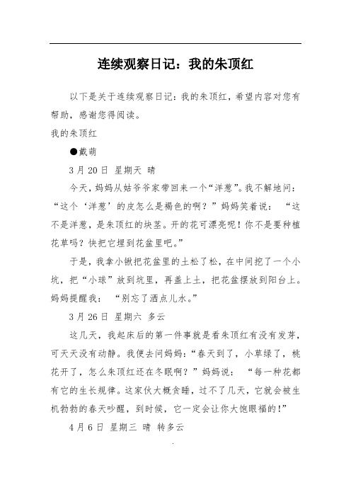 连续观察日记：我的朱顶红