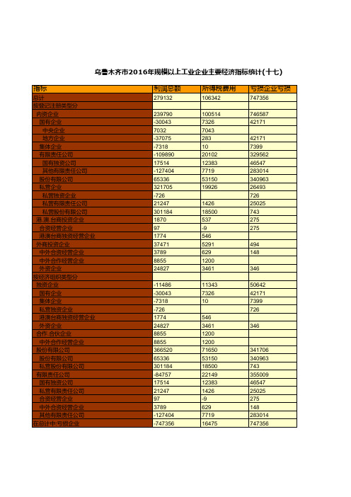 乌鲁木齐市2016年规模以上工业企业主要经济指标统计(十七)