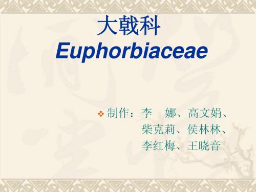 大戟课件