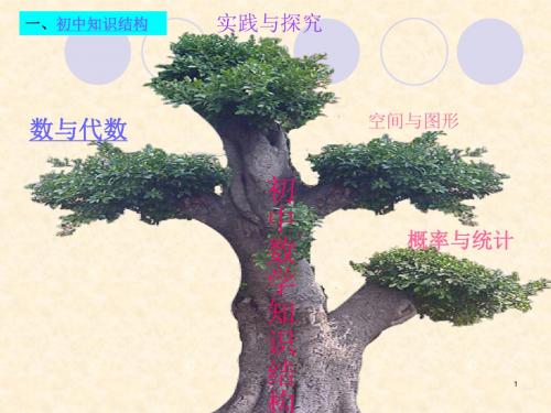 初中数学思维导图精选幻灯片
