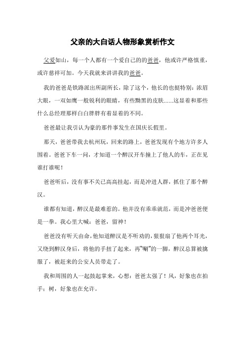 父亲的大白话人物形象赏析作文