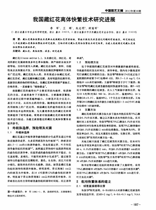 我国藏红花离体快繁技术研究进展