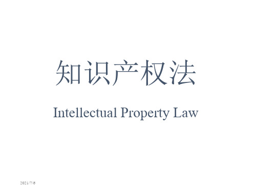 知识产权法Intellectual Property Law