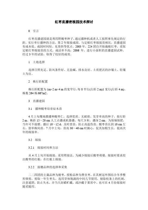 红枣直播密植园技术探讨