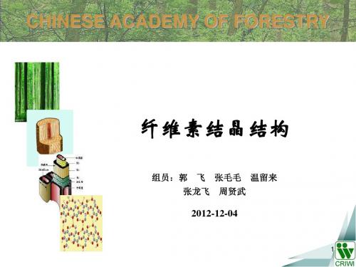 纤维素的结晶结构ppt课件