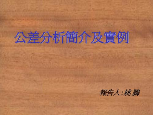 16公差分析