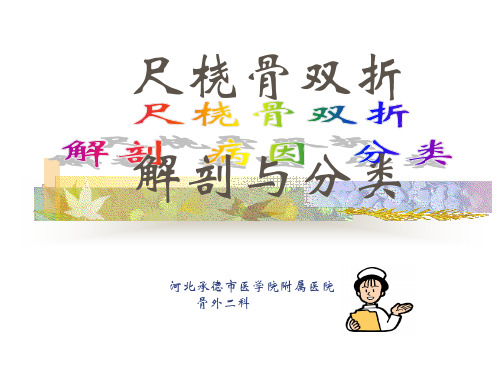尺桡骨双折解剖