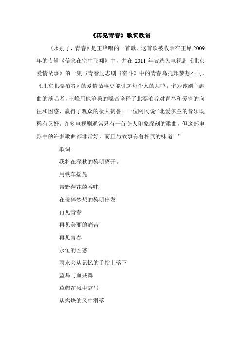 《再见青春》歌词欣赏.doc